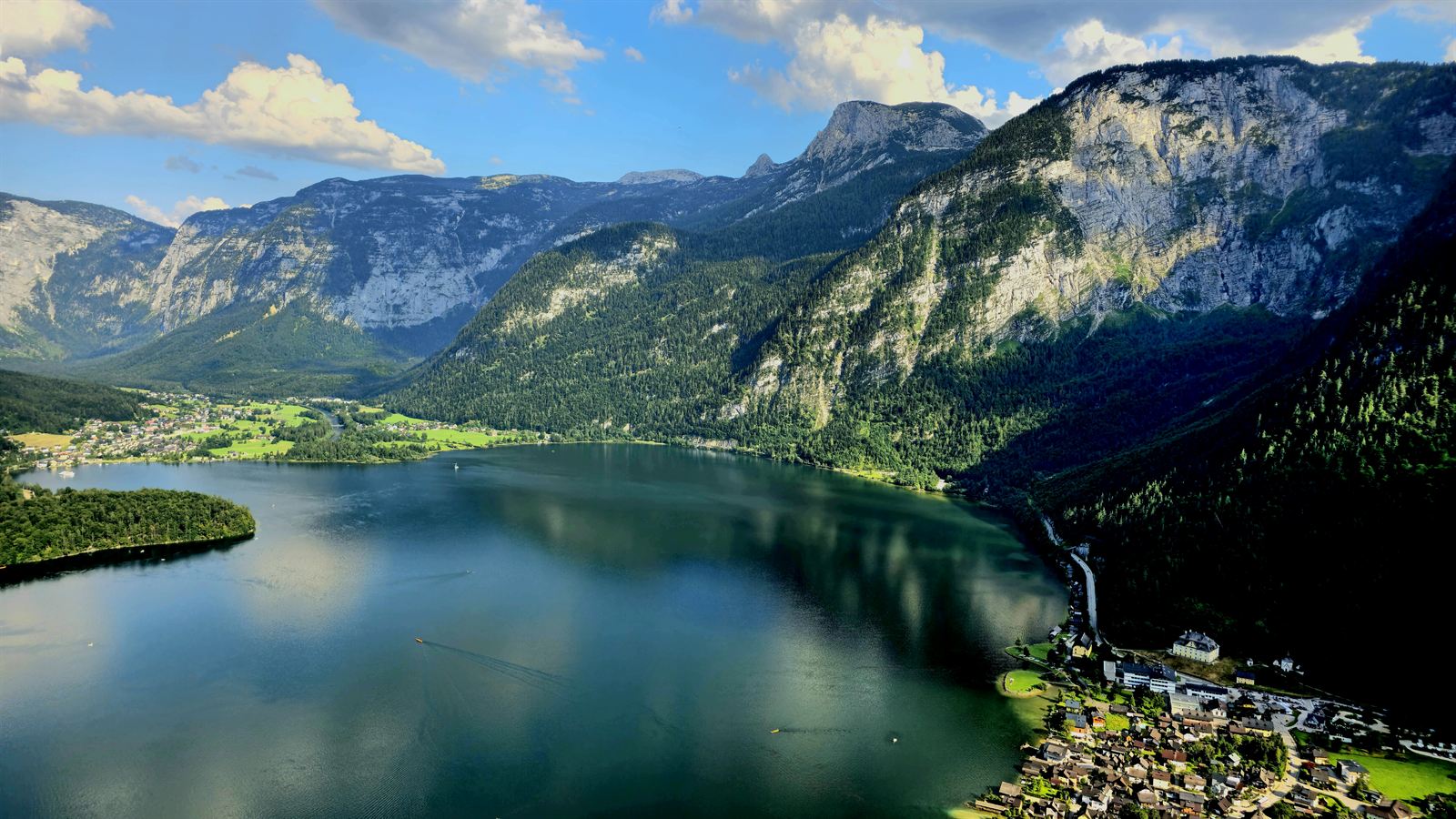 Schwäne auf dem Hallstätter See